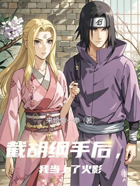 截胡纲手后，我当上了火影