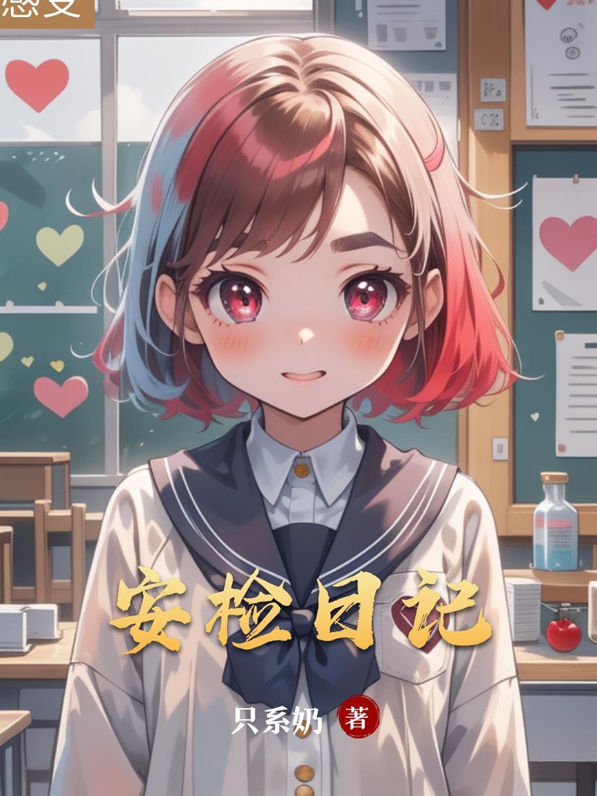 安检日记