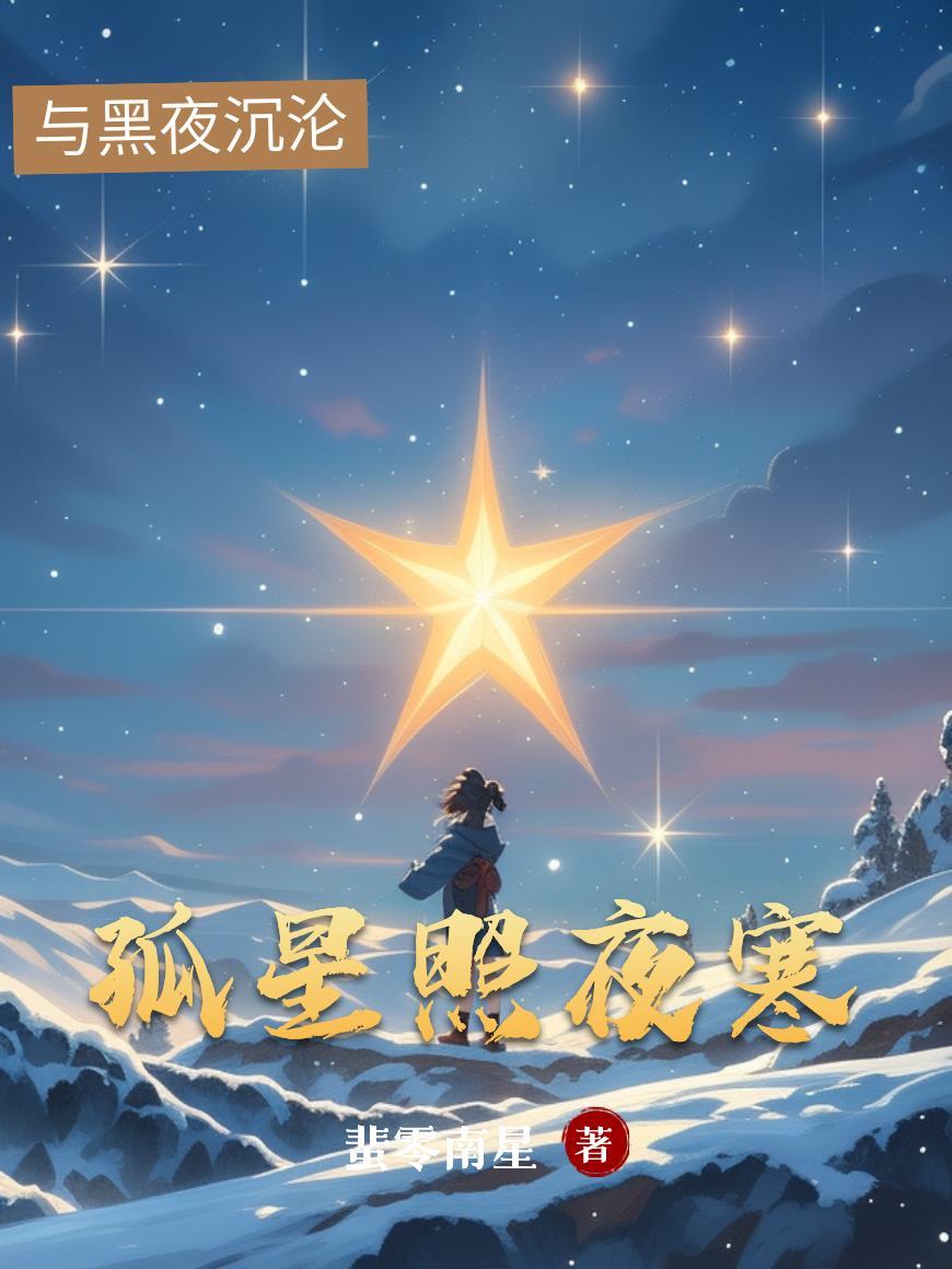孤星照夜寒